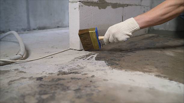 SJ Waterproofing Pros Basement Waterproofing coverage map for Carbon Hill, AL and surrounding area